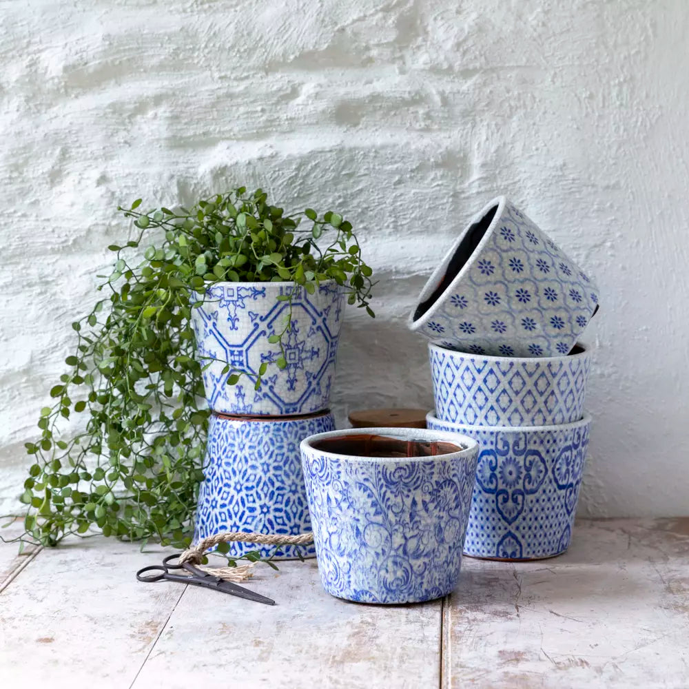 Old Style Blue Dutch Pots - Small - Collection of 6 Designs