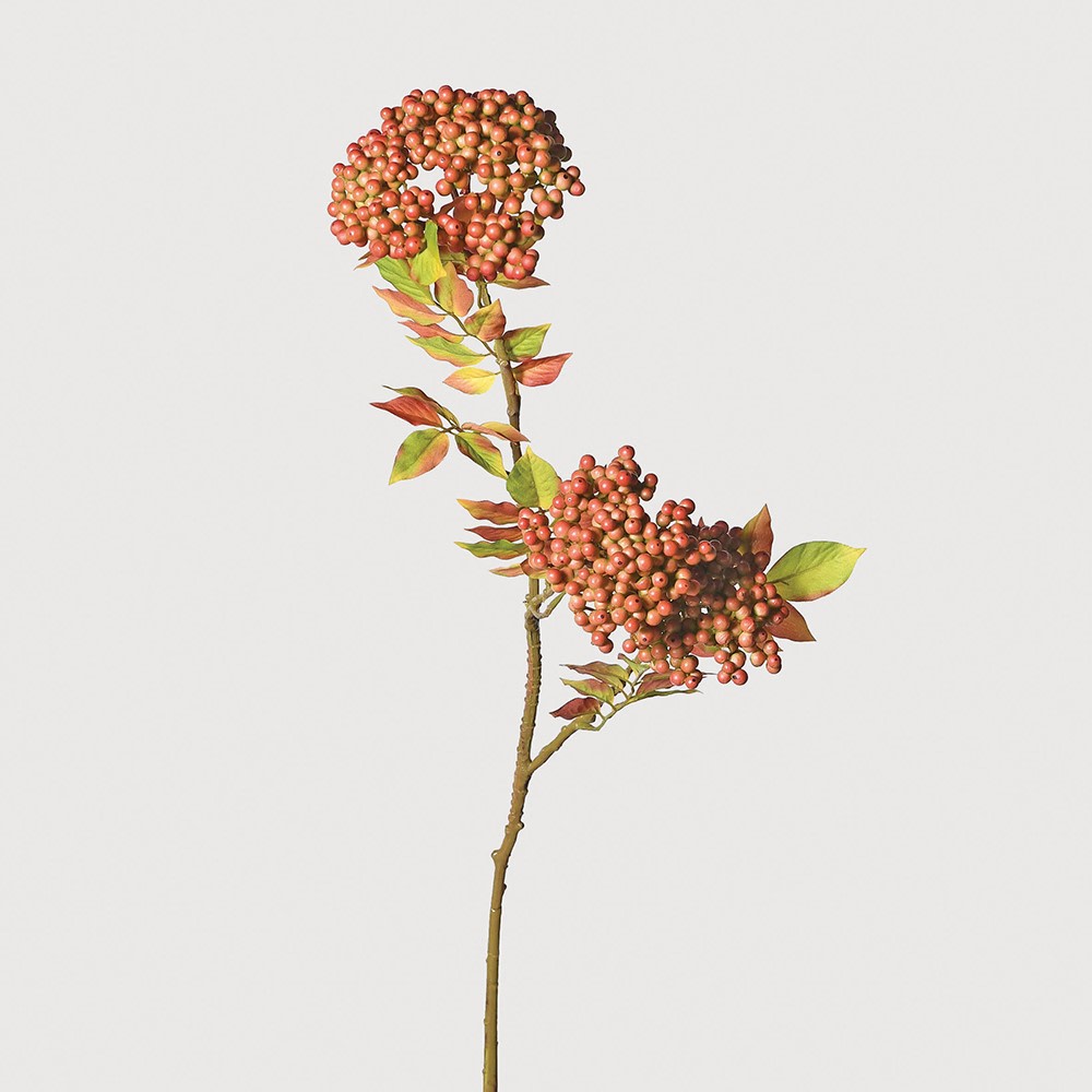 Sorbus Berries Spray