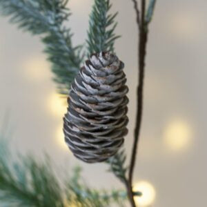 Blueberry and Fircone Garland