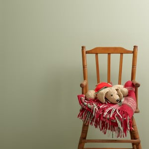 Wise Old Sage - Trim Paint 500ml