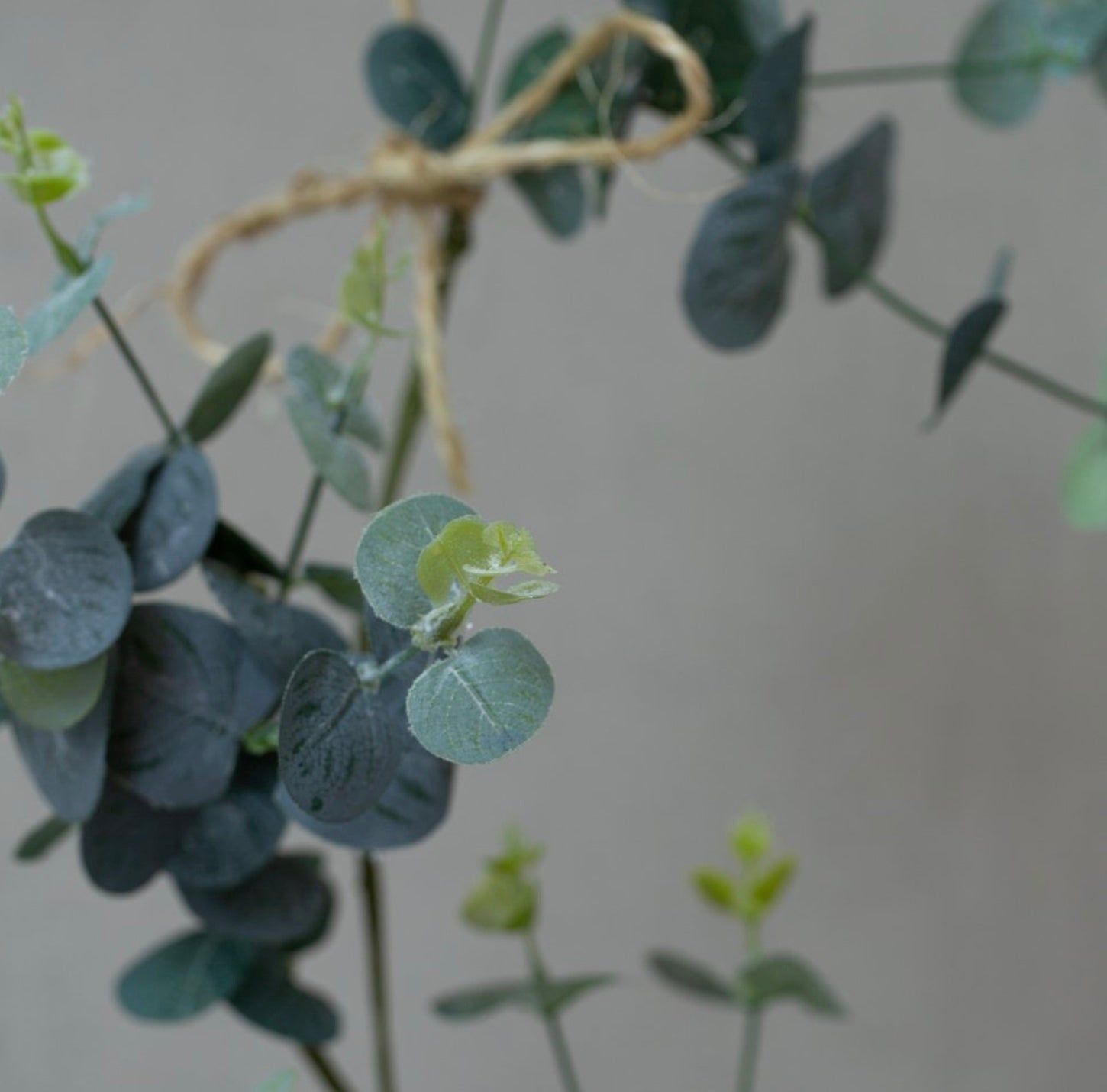 Frosted Eucalyptus Garland (120cm)