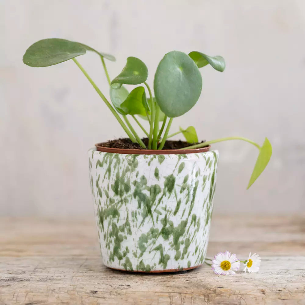 Mini Old Style Dutch Pots - Green Splatter