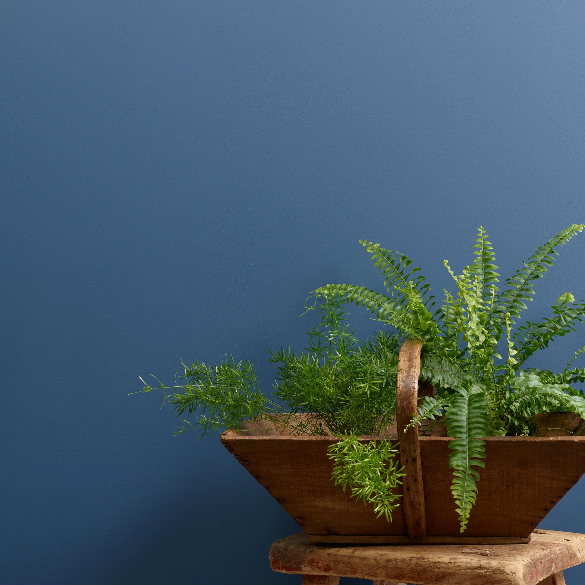 Smooth Operator - Chalk Wall Paint 2.5L