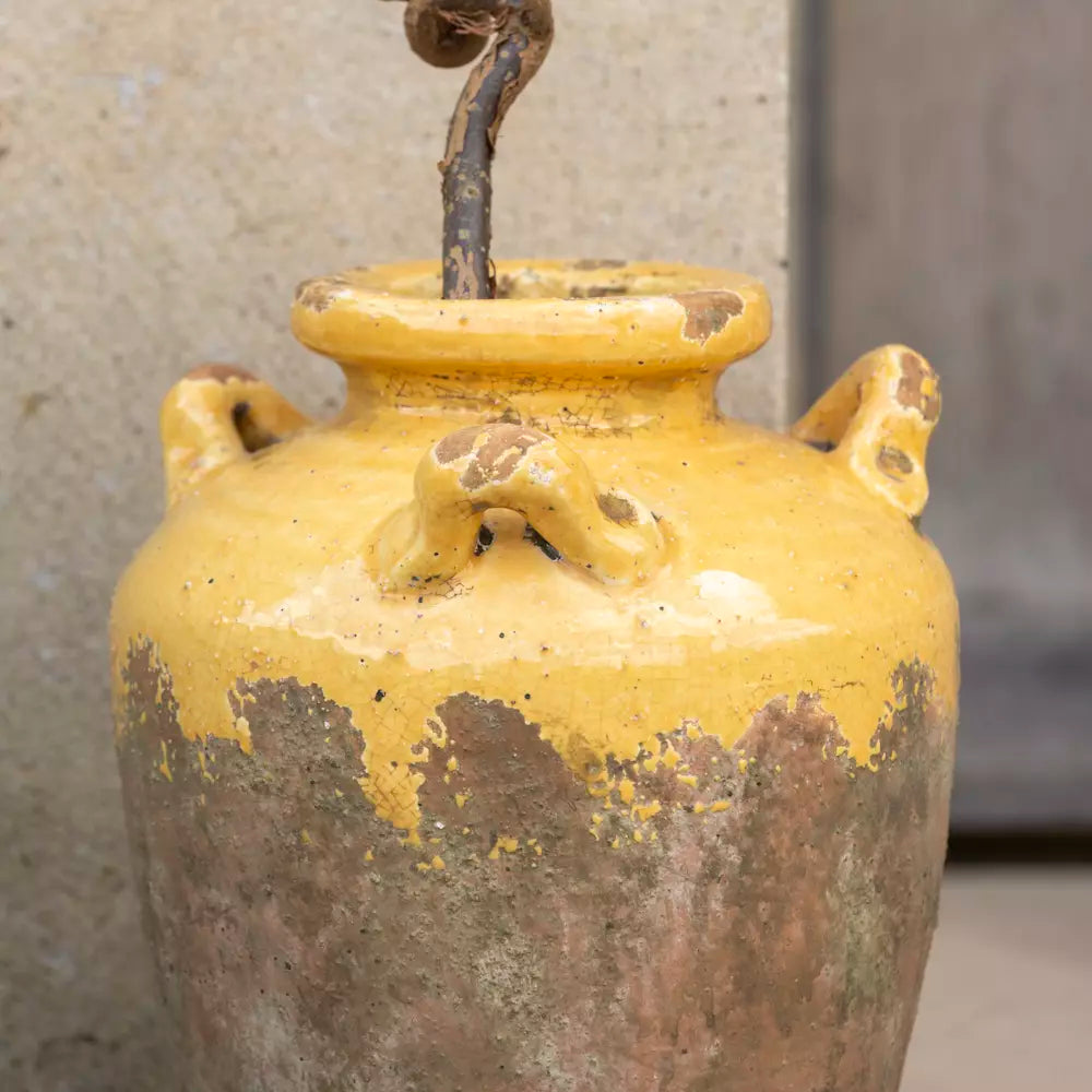 Lola - Yellow Terracotta Urn