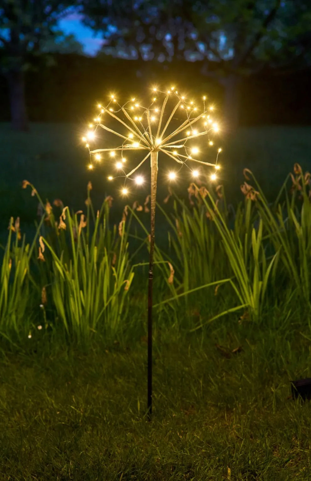 Solar Dandelion 35cm - (Solar)