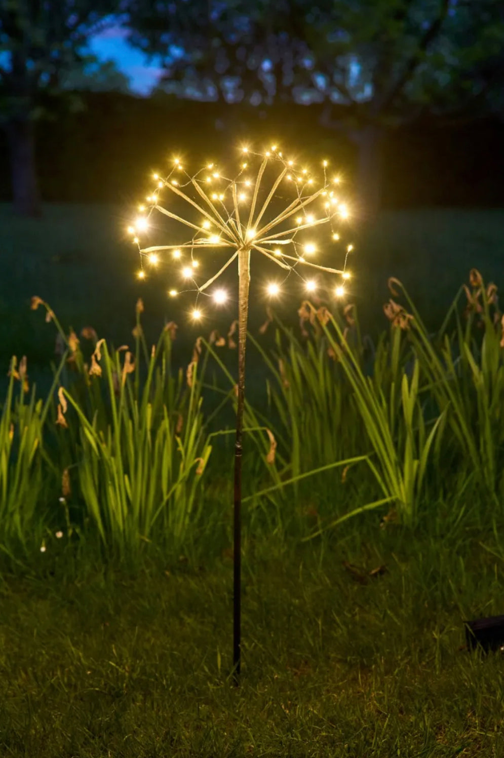 Solar Dandelion 35cm - (Solar)