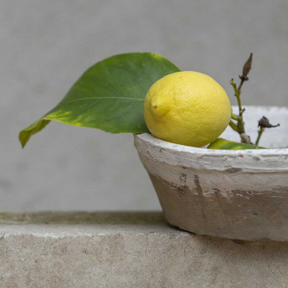 Antique Whitestone Dish/Planter - Small