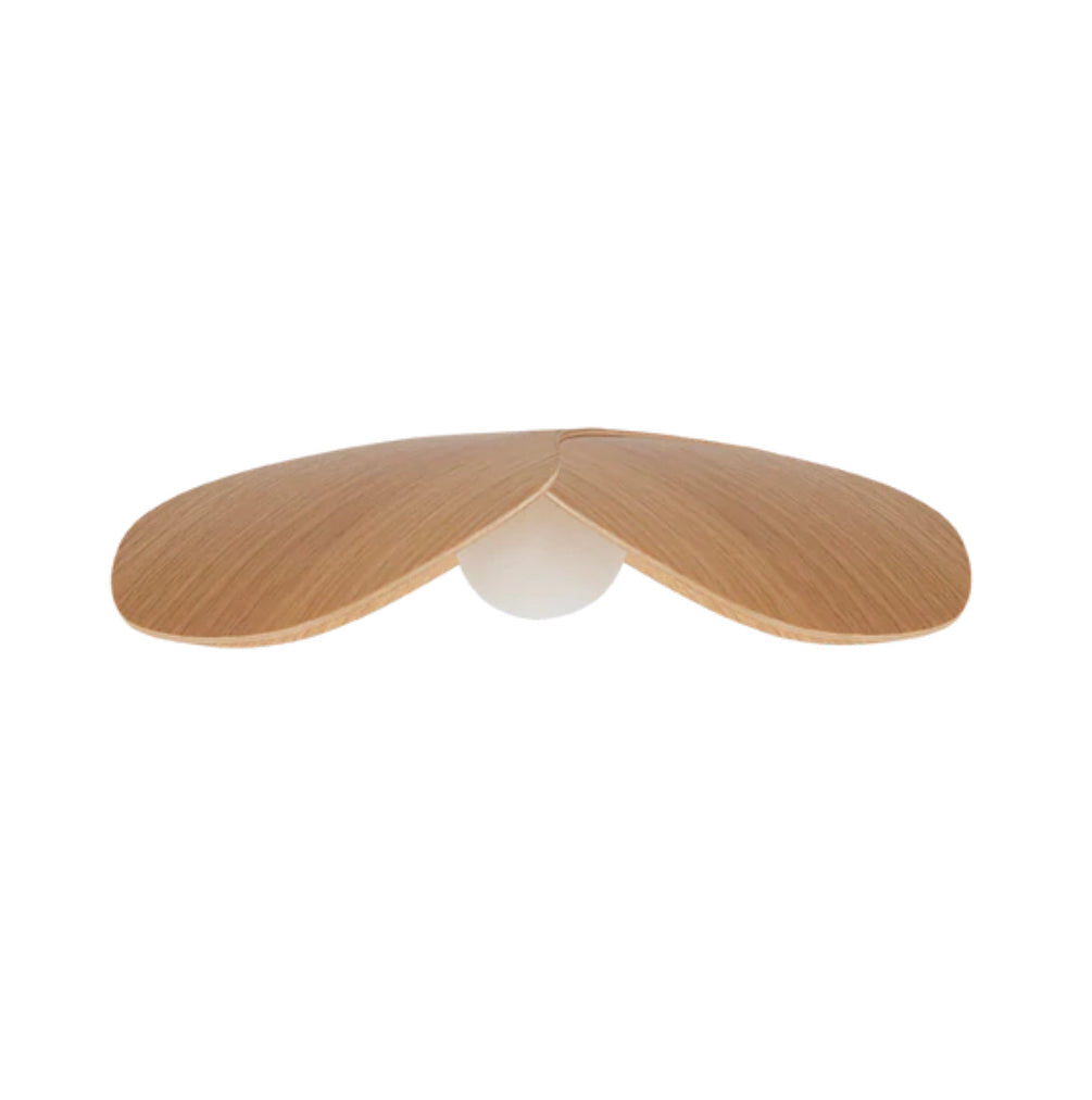 Forget Me Not (Medium Black) Shade and Rosette Mini Pendant Light