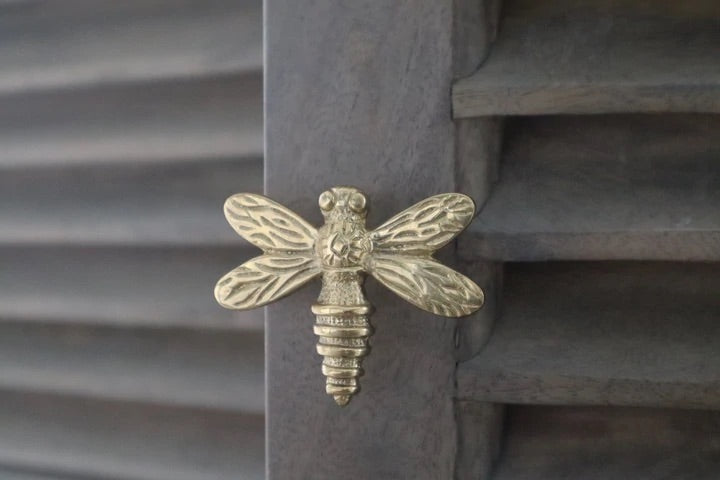 Brass Dragonfly Knob
