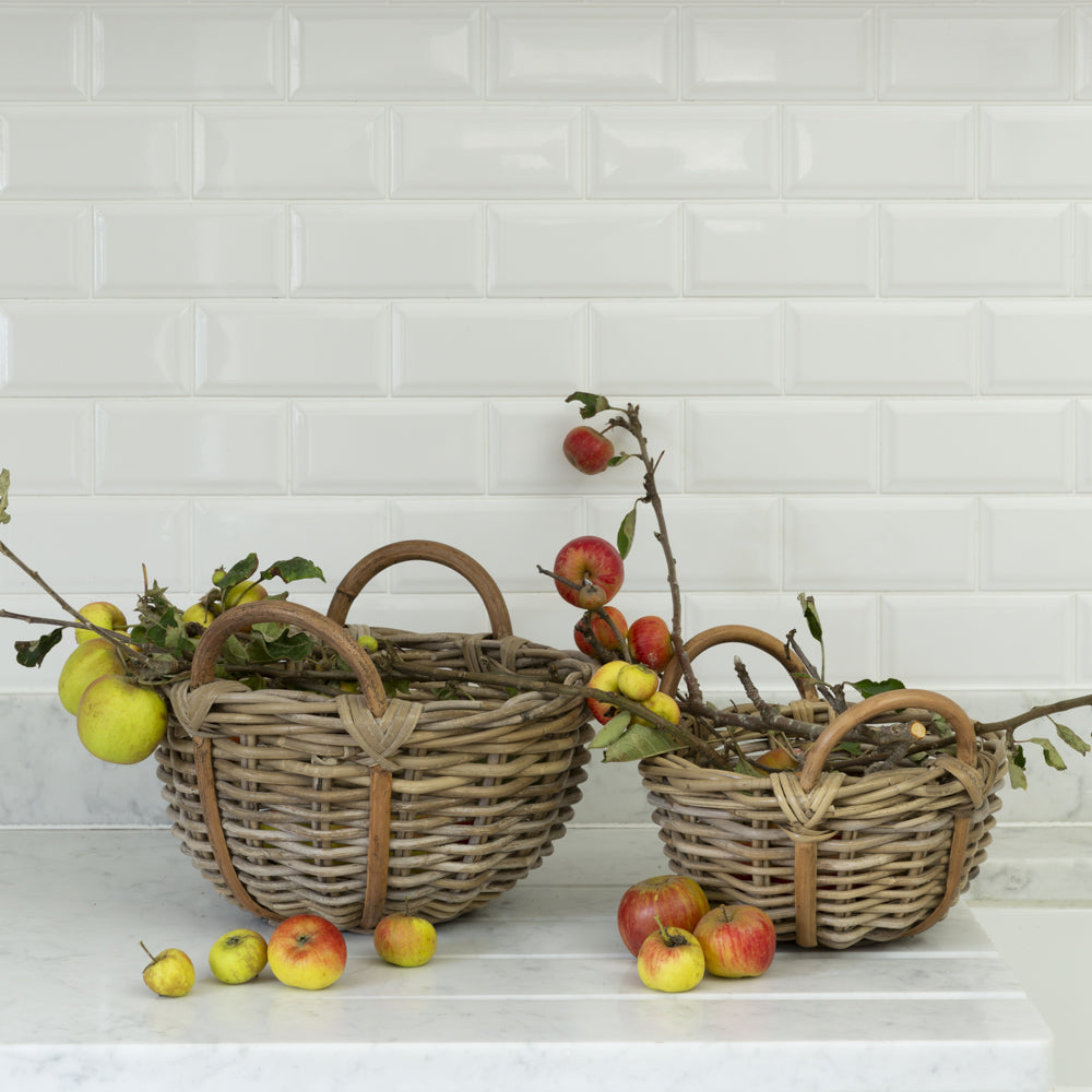 Eleda Basket with Handles - (Set of 2)