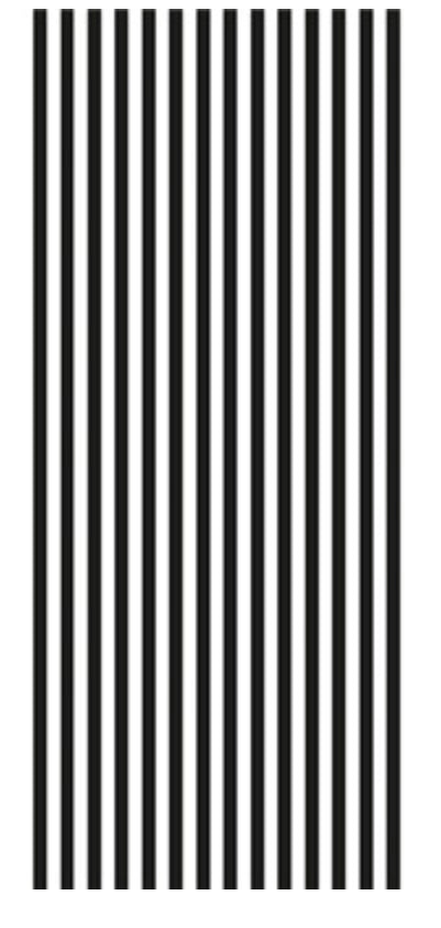 Candy-cane Stripe Black and White Tissue Paper
