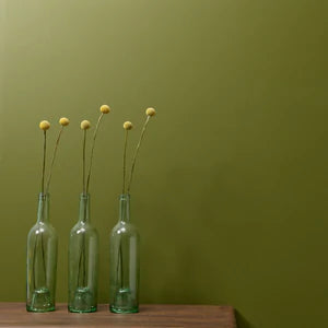 Constance Moss - Trim Paint 500ml