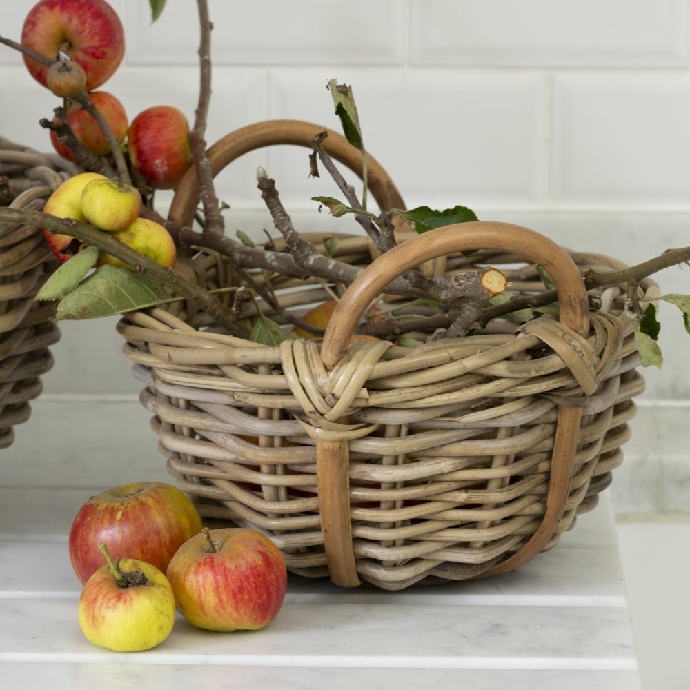 Eleda Basket with Handles - (Set of 2)