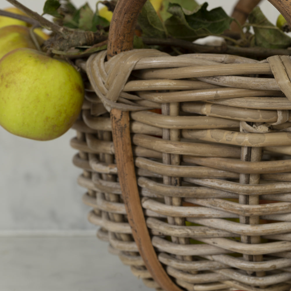 Eleda Basket with Handles - (Set of 2)