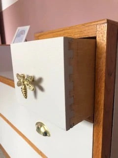 Brass Dragonfly Knob