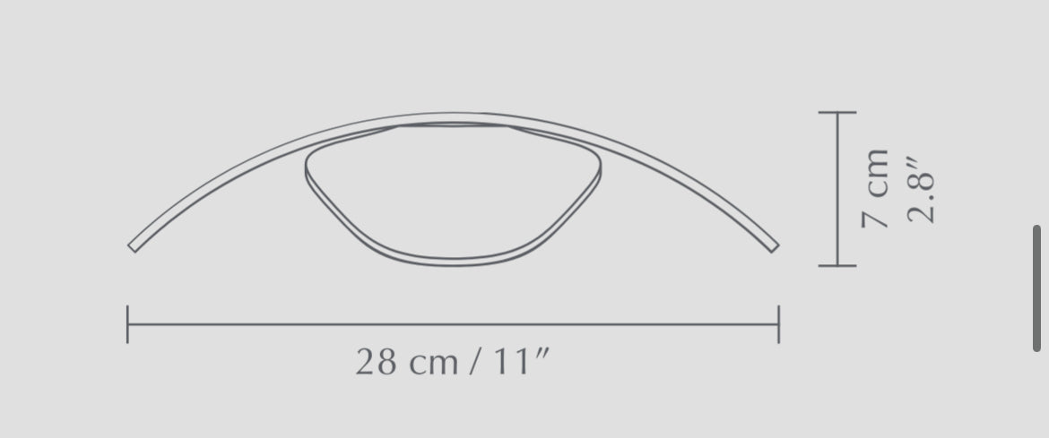 Forget Me Not (Large Black) Shade and Rosette Mini Pendant Light