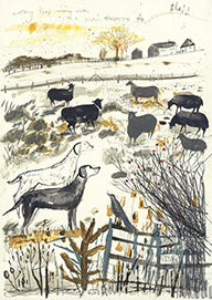 Sam Wilson Watching Sheep - Unframed (PRINT ONLY)