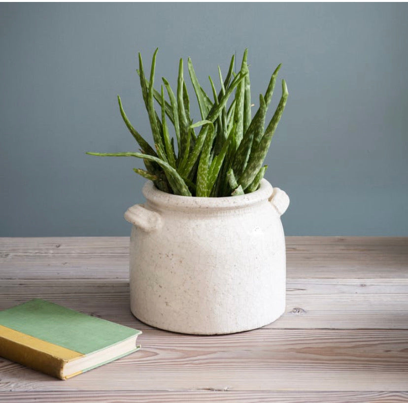 Ravello pot with handles, - Bramley & White | Upholstery, Homewares & Furniture