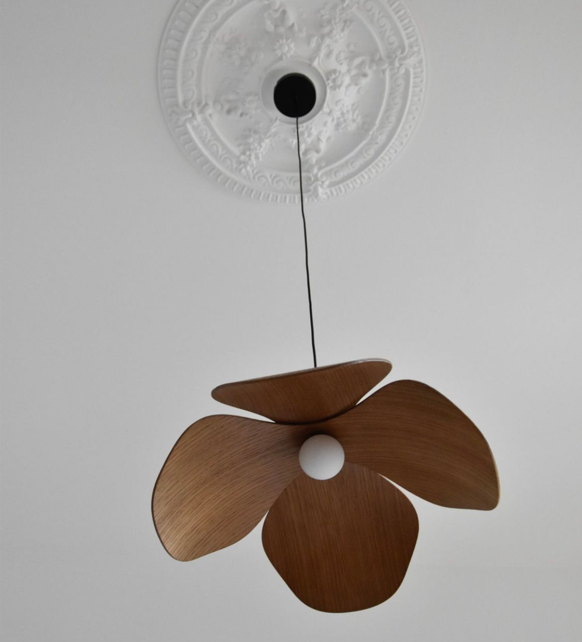 Forget Me Not (Medium Black) Shade and Rosette Mini Pendant Light