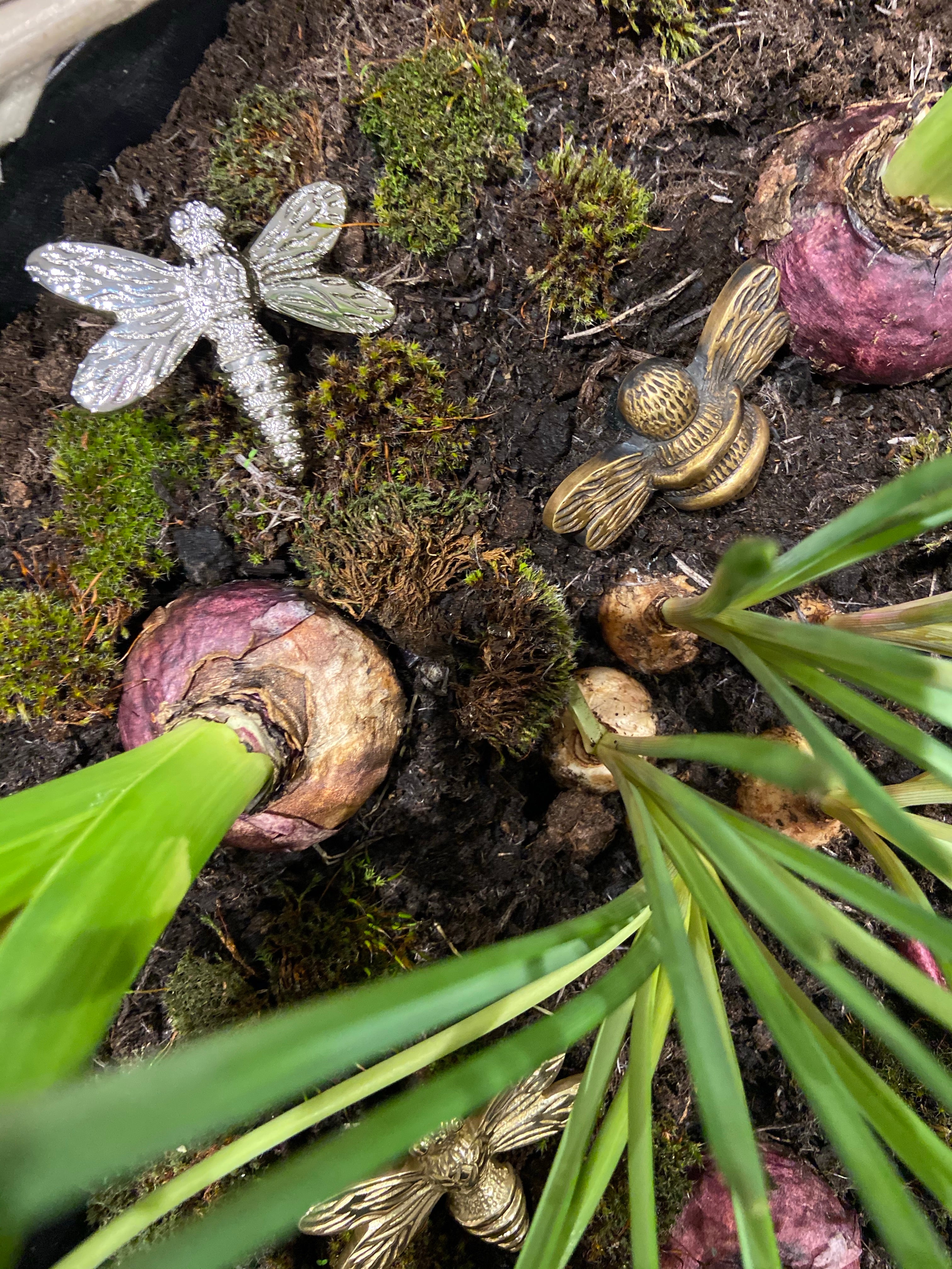 Heritage Brass Bee Knob