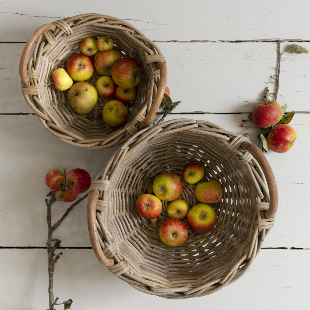 Eleda Basket with Handles - (Set of 2)