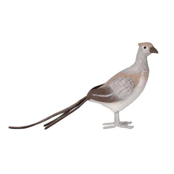 Golden Plumage Phillip Pheasant