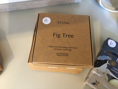 St Eval - Fig Tree Tealights -discounted dated stock