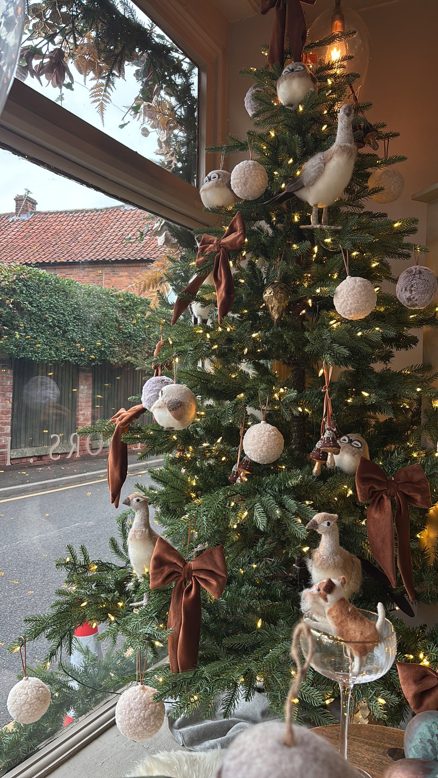 Golden Plumage Phillip Pheasant
