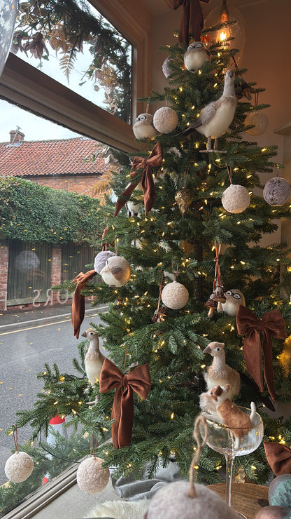 Golden Plumage Phillip Pheasant