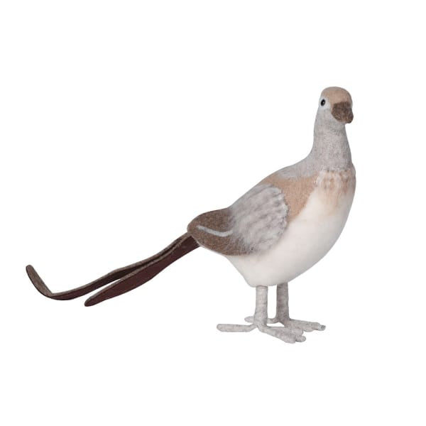 Golden Plumage Phillip Pheasant