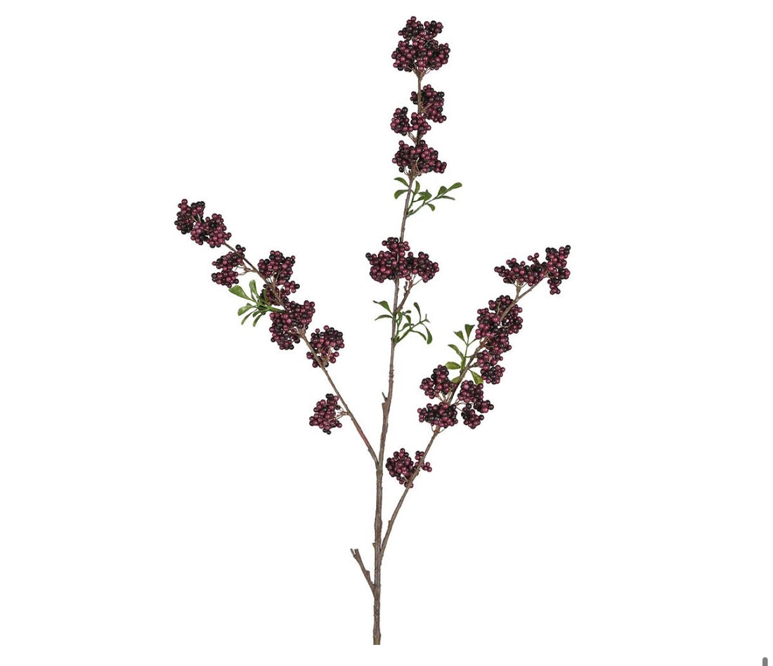 Burgundy berry stems