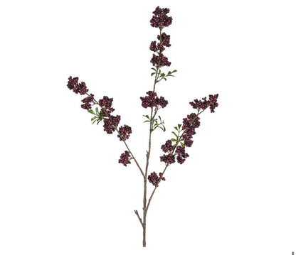 Burgandy berry stems