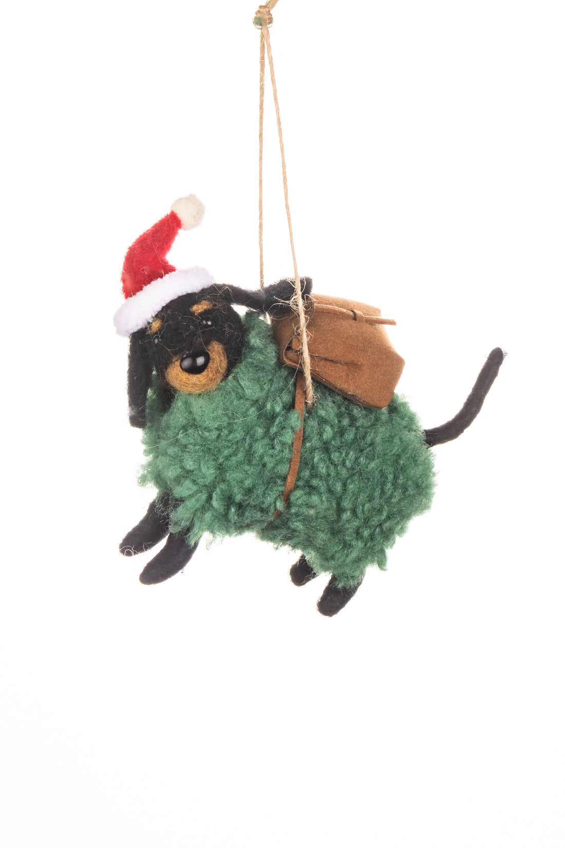 Dog In Green Woolly Coat