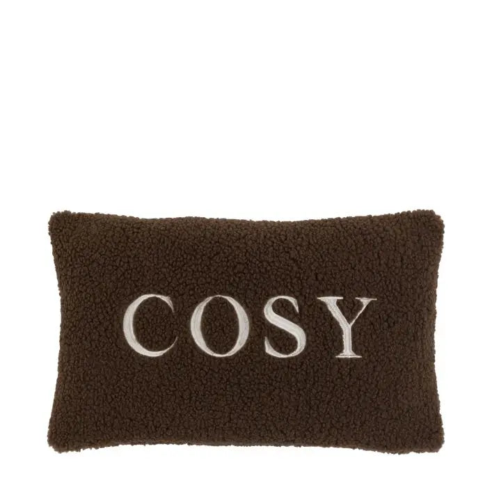 ‘Cosy’ Teddy Chocolate Cushion