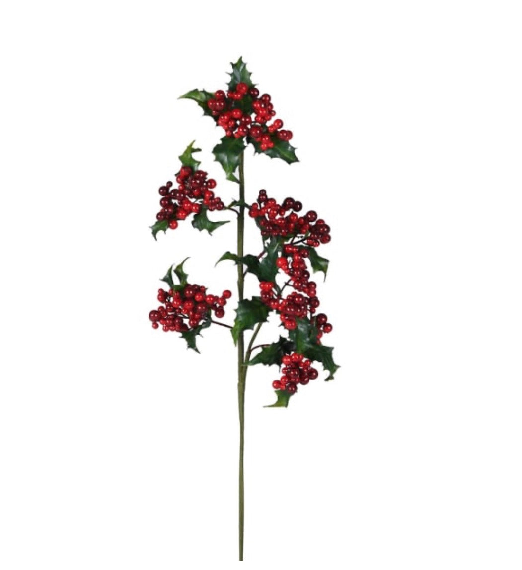 Holly and berry stems