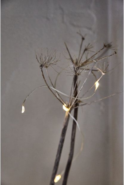 Twinkle 60 LED Light Chain