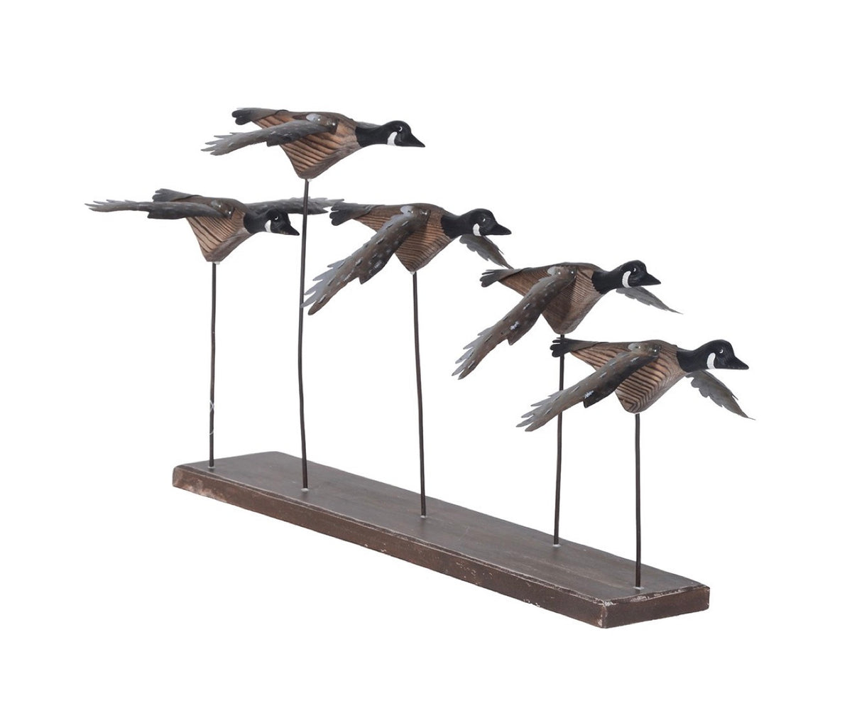 Canadian geese flight scene