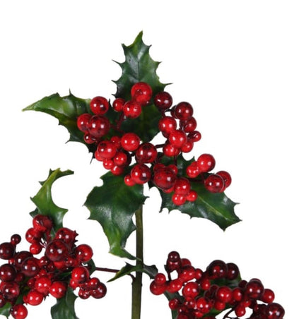 Holly and berry stems