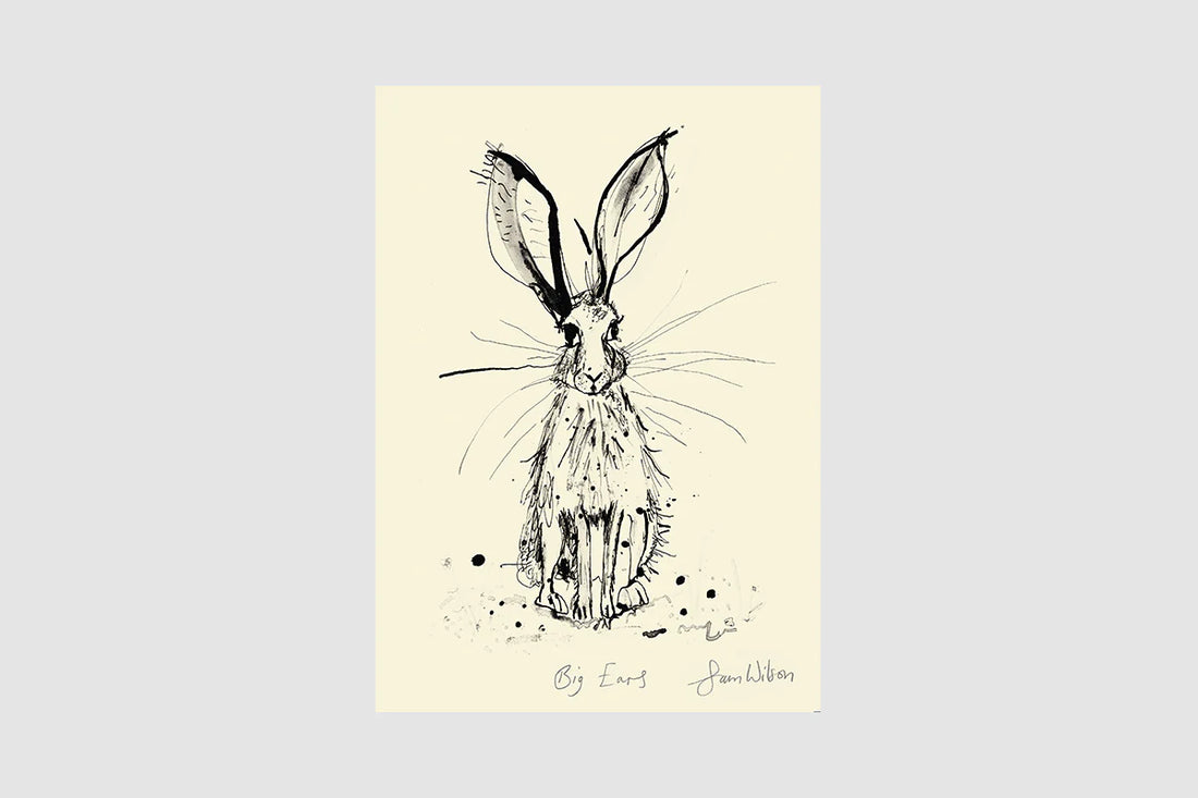 Sam Wilson Big Ears - Unframed (PRINT ONLY)