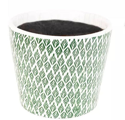 Old Style Green Dutch Plant Pot - Large - Nadia