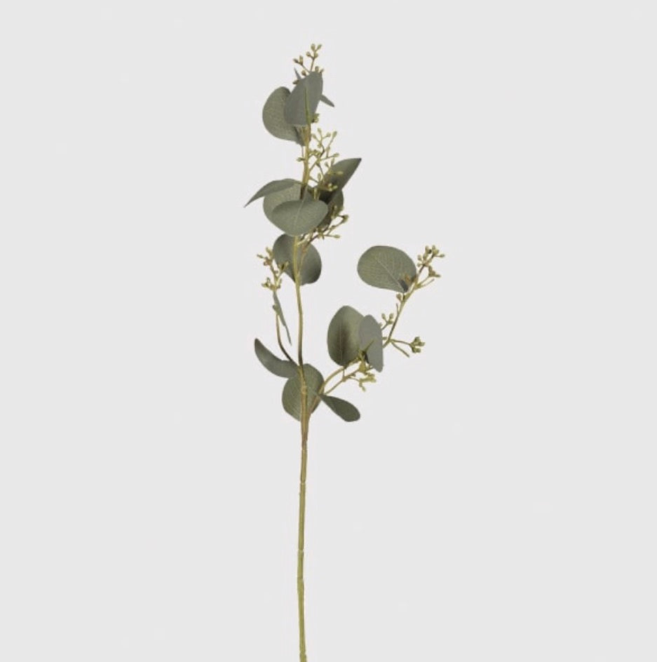 Natural Eucalyptus Leaves with Seeds Spray
