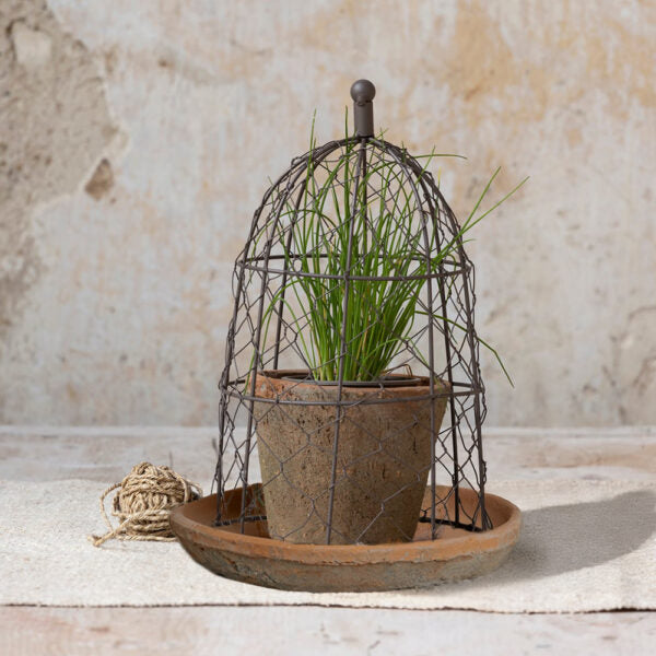 Wire Cloche With Antiqued Redstone Pot &amp; Saucer
