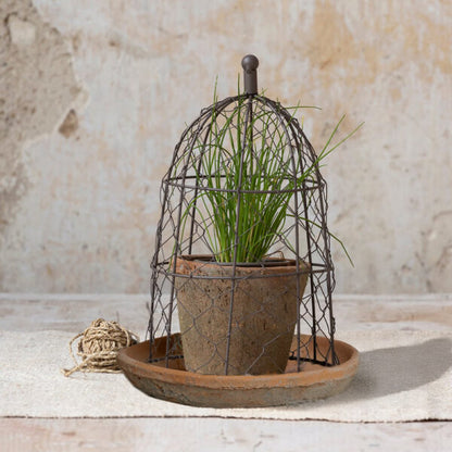 Wire Cloche With Antiqued Redstone Pot &amp; Saucer