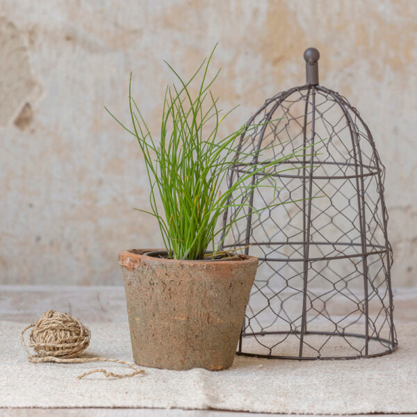 Wire Cloche With Antiqued Redstone Pot &amp; Saucer