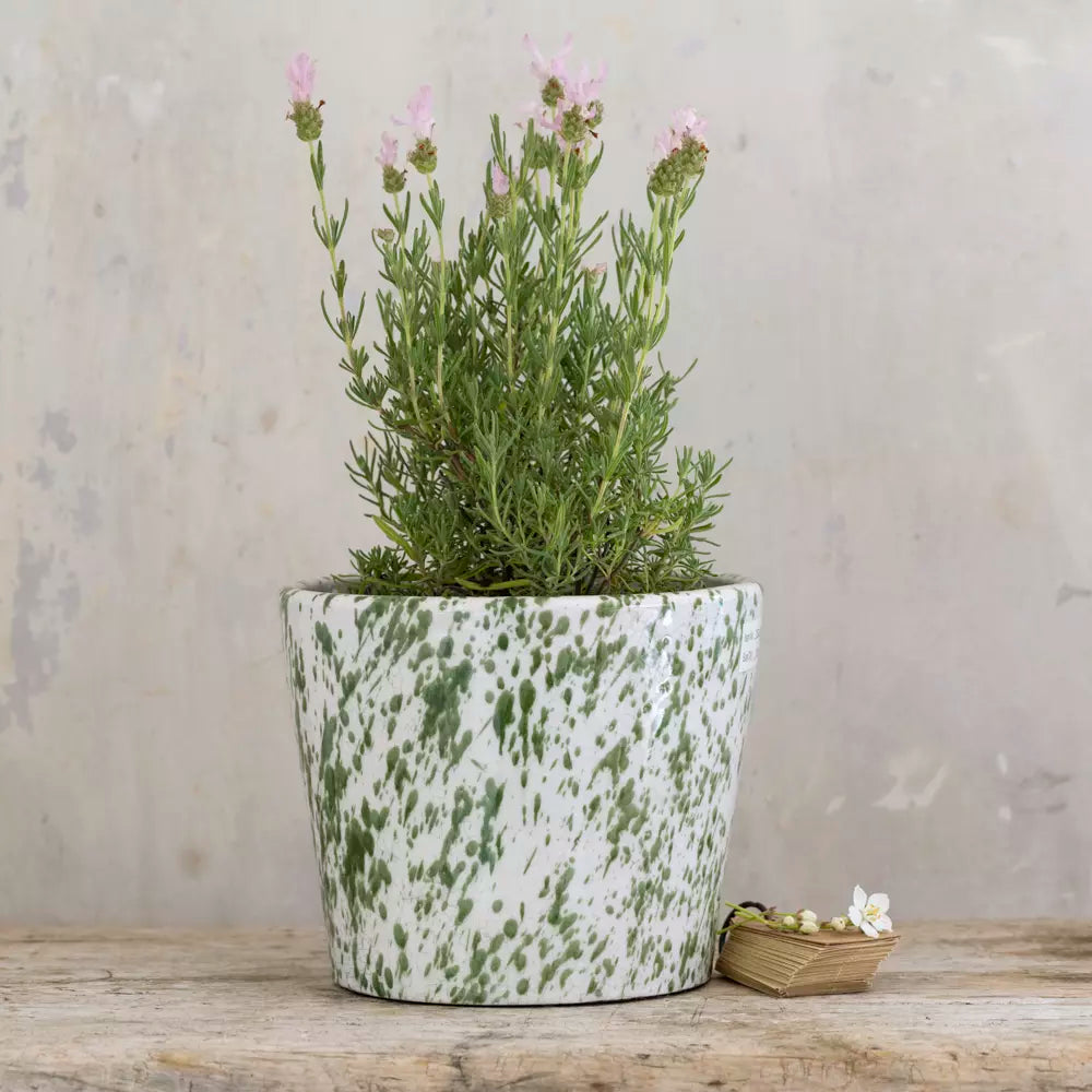 Old Style Dutch Pot Green Splatter - Large