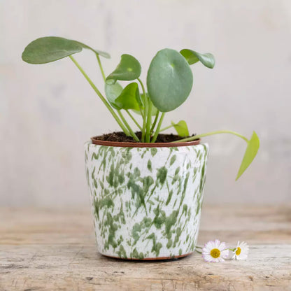 Mini Old Style Dutch Pots - Green Splatter