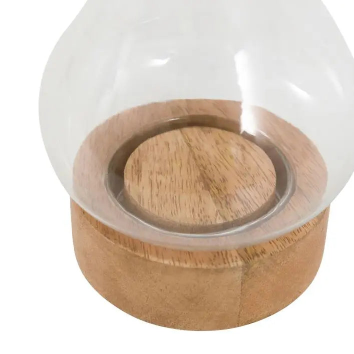 Jasmine Lantern - small