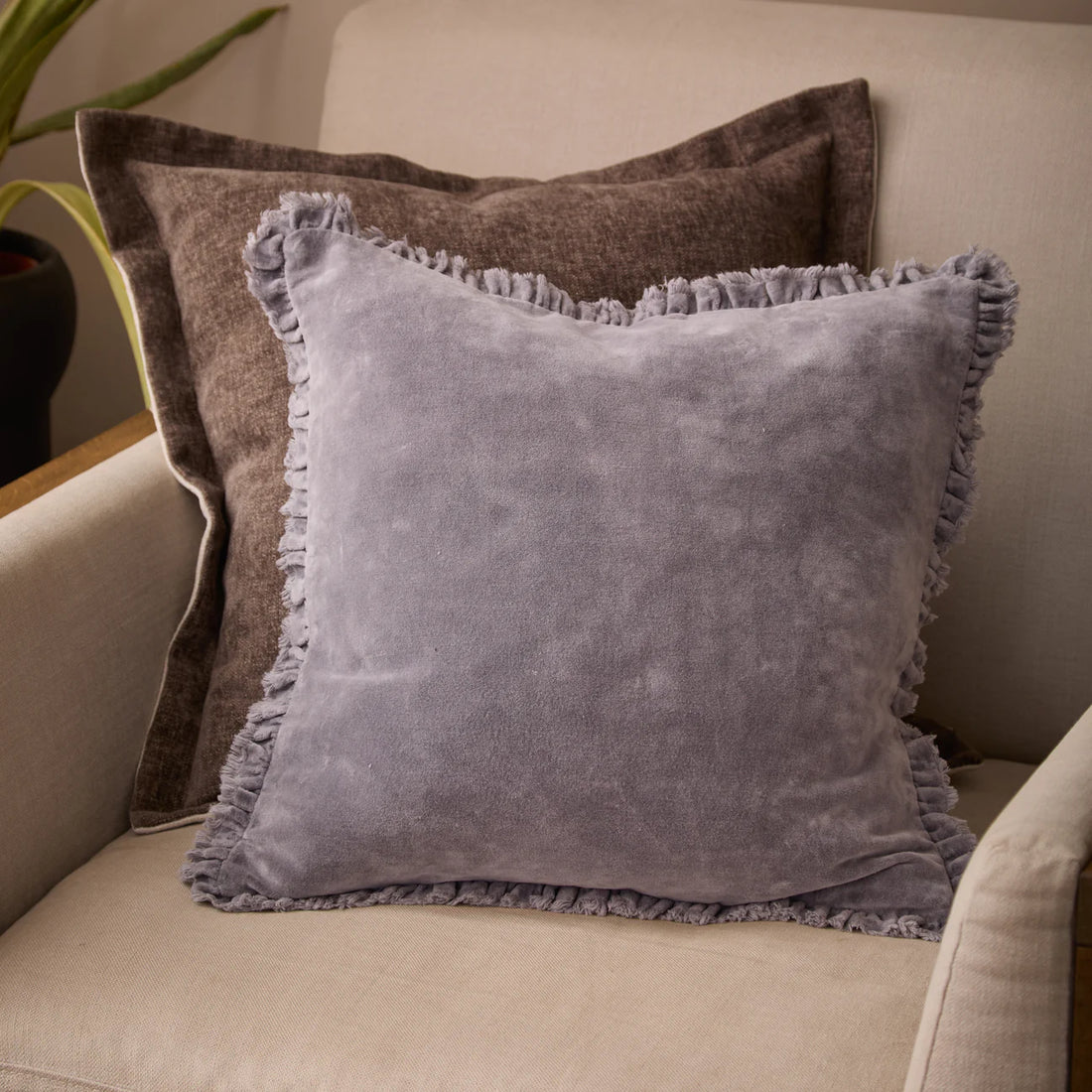 Bertie Velvet Cushion - Mauve