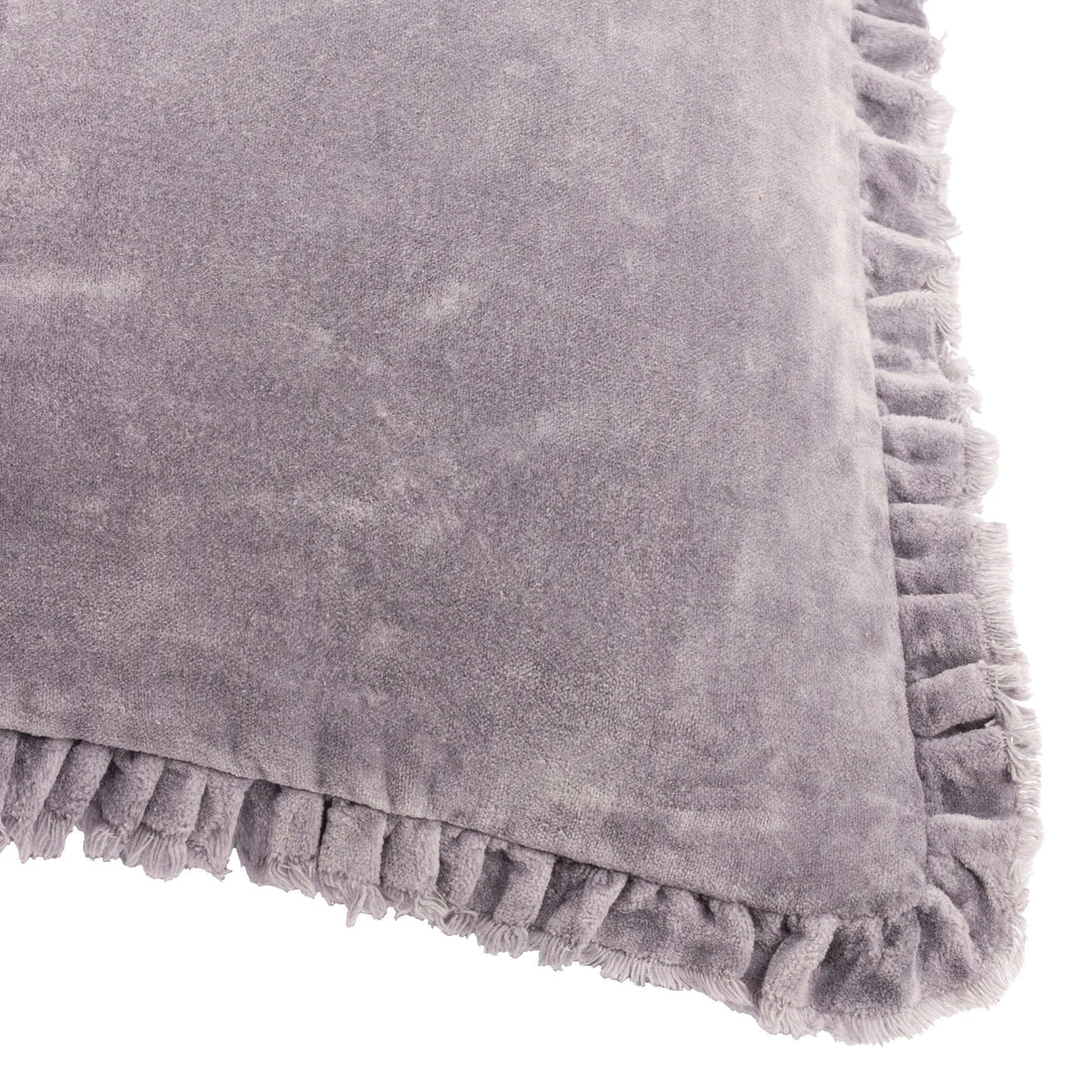 Bertie Velvet Cushion - Mauve