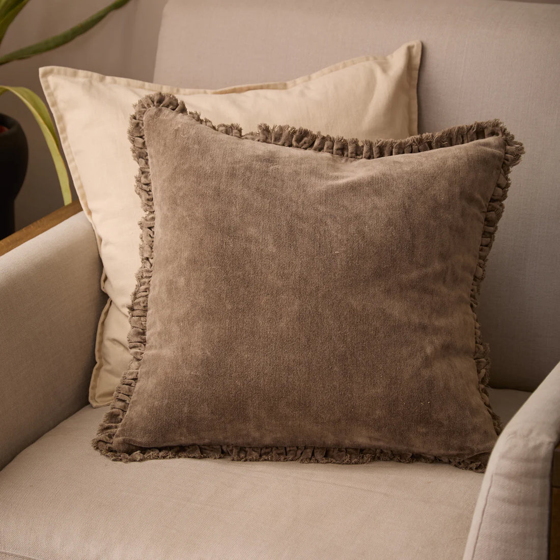 Bertie Velvet Cushion - Chocolate
